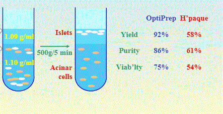 Lymphocyte separation